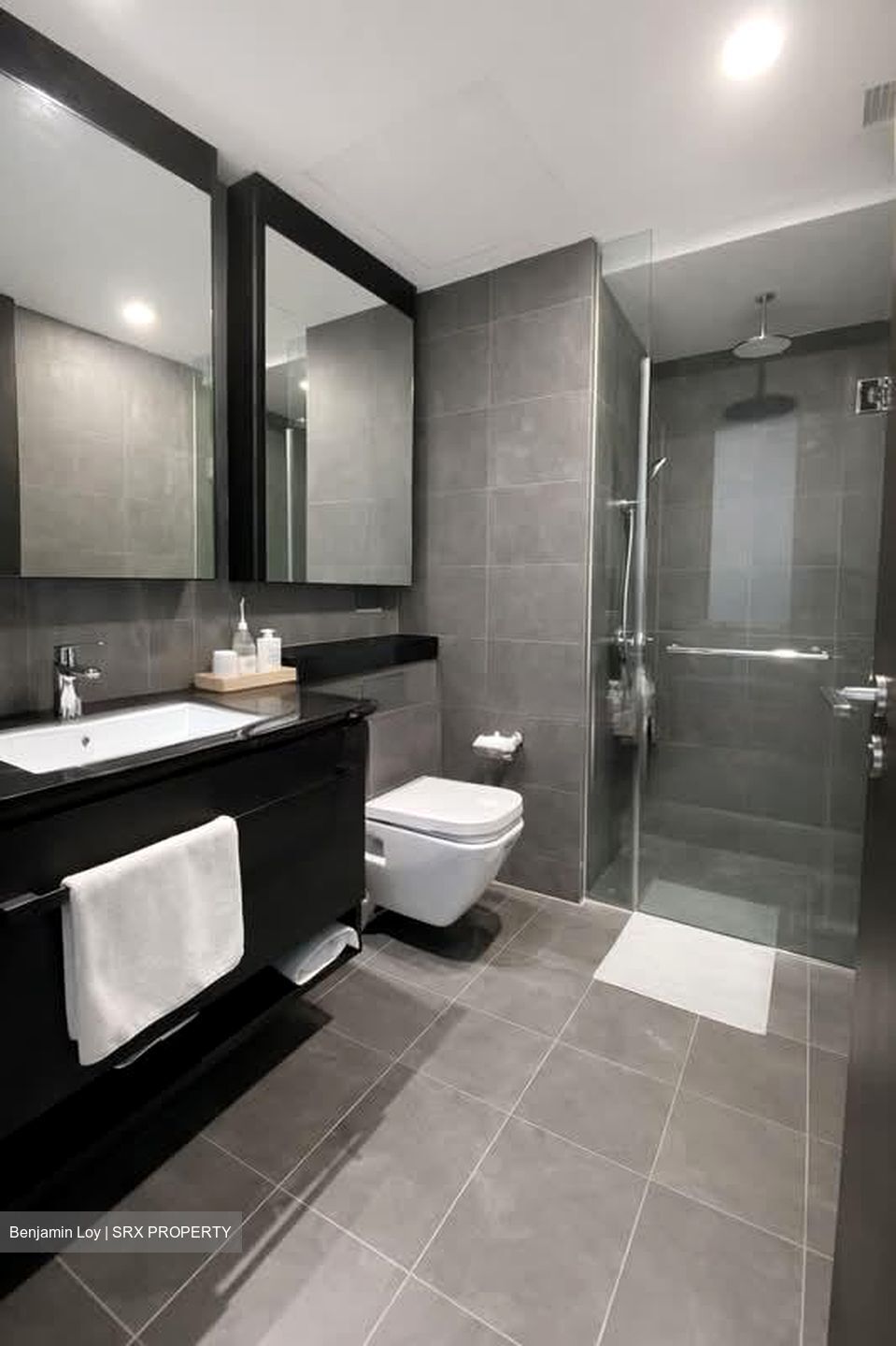 Park Colonial (D13), Condominium #548694961